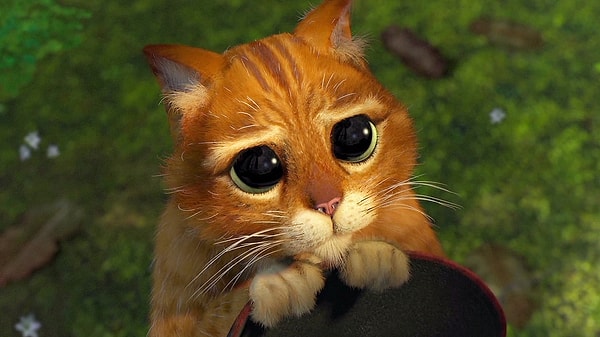 4. Умеете ли вы просить прощения, если не правы?