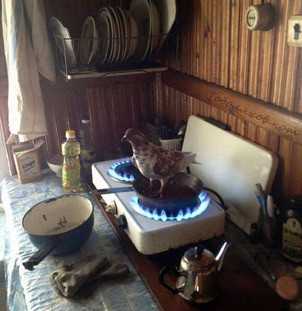 16. Хоть бы очистили что ли