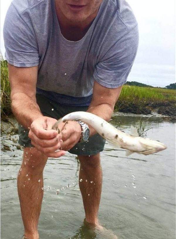 4. "Не в этот раз, человек!"