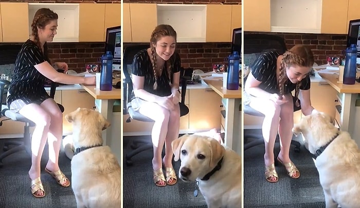 Kendisi Gibi İşitme Engeli Bulunan Köpeğine İşaret Dili Öğretmeye Çalışan Kadının Muhteşem Anları!