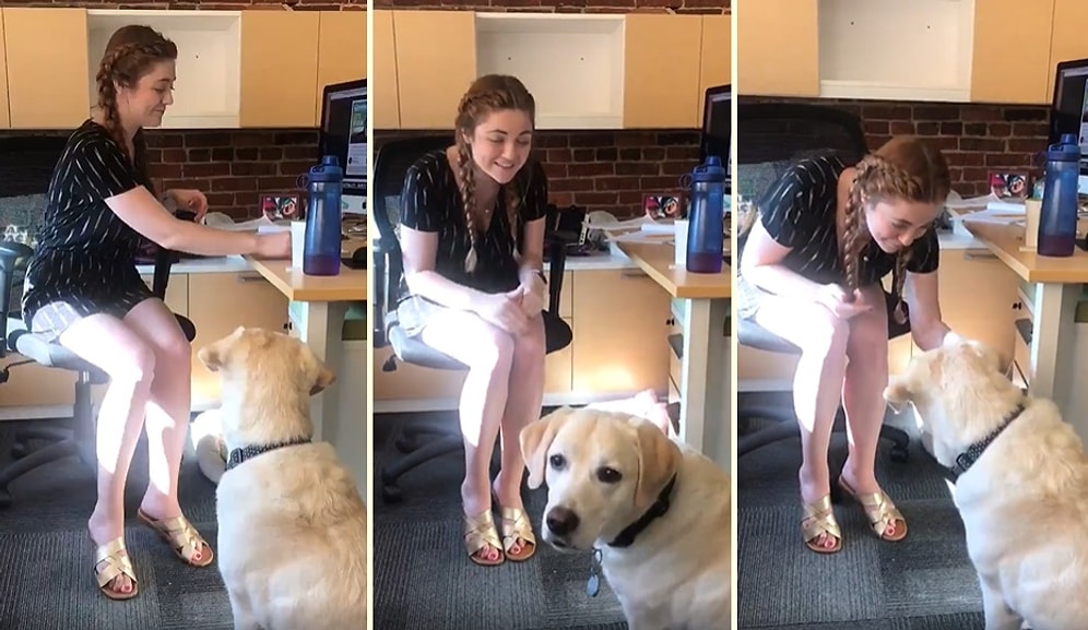 Kendisi Gibi İşitme Engeli Bulunan Köpeğine İşaret Dili Öğretmeye Çalışan Kadının Muhteşem Anları!