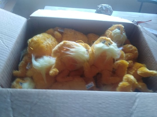 5. "В одном магазине продавались загадочные коробки за $1, от которых продавцы пытались избавиться. Я решил купить одну. В итоге, приобрел 35 игрушек Лоракс"