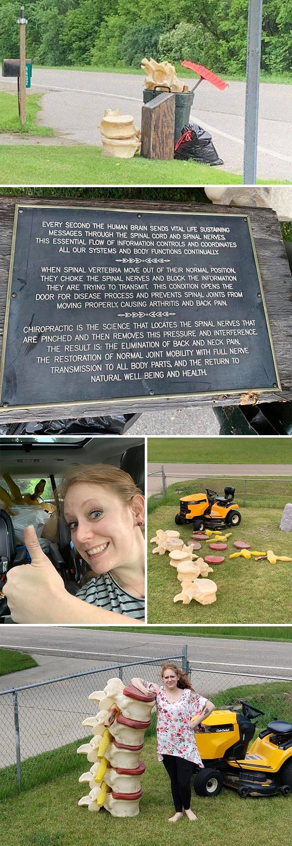 9. Это гигантские позвонки, которые нашла женщина на улице