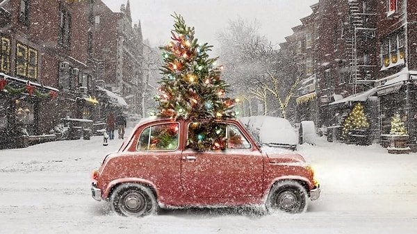 Вы родились в декабре!