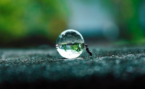 6. "Учитесь, пока другие спят, работайте, пока другие отдыхают, будьте готовы, пока другие расслабляются и мечтайте, пока другие плачутся"