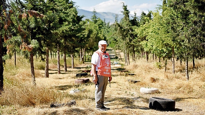 Adeta Cennet Oldu: Amasya'da Moloz ve Çöplerin Atıldığı Bir Alan 22 Yılda Ormana Döndü