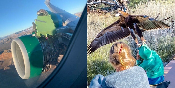 37 фото, которые убедят вас в том, что ваш день прошел не так уж плохо