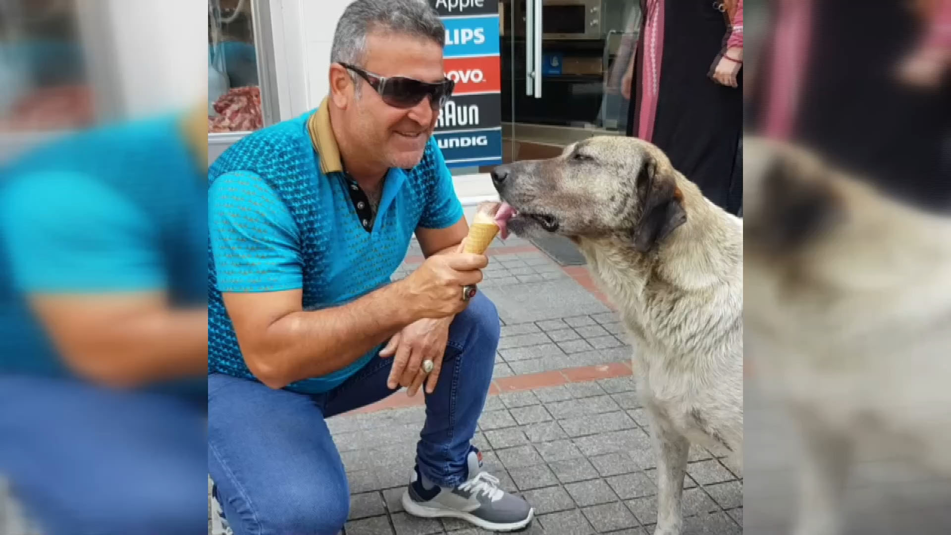 köpeğin kakasını yemesi