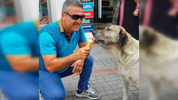 Hava sıcaklığının 30 dereceye ulaştığı Aşkale ilçesinde sokak köpeğine önce kasaptan et alan vatandaş, köpeğin eti yemediğini görünce dondurmacıdan dondurma aldı.