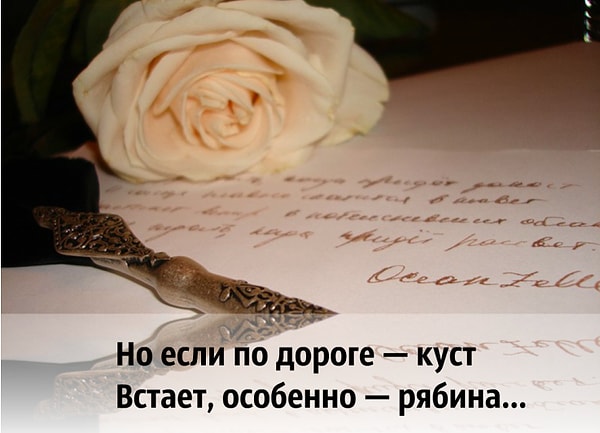 13. Узнали это стихотворение?