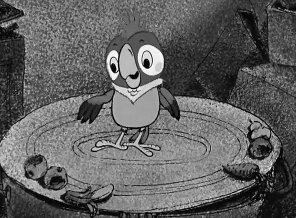 9. Цвет пузика Кеши?