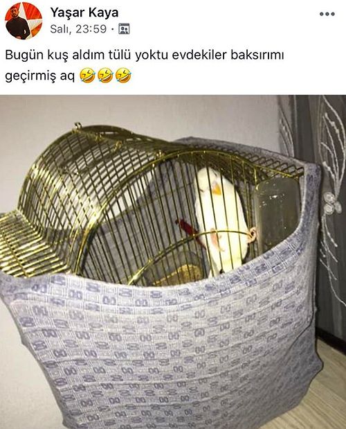 Birbirinden Garip ve Saçma Olaylarıyla Yüzümüzde Kocaman Bir Gülümseme Bırakan Paylaşımlar