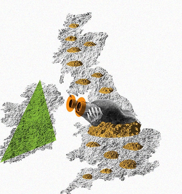 20. В Ирландии нет кротов. Совсем