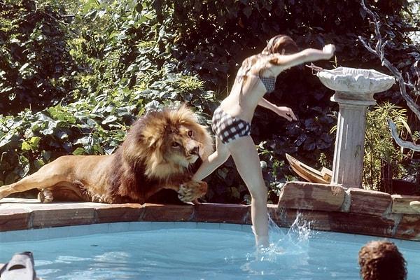 8. Melanie Griffith'in 1971 yılında evcil aslanı tarafından neredeyse ısırıldığı an çekilen sinir bozucu an: