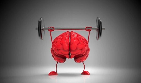 1. Днем мозг гораздо активнее, чем ночью.