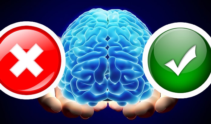 Тест: Если вы сможете отличить правду ото лжи среди фактов о человеческом теле, то вы либо врач, либо очень образованны