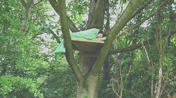 Bundan binlerce yıl öncesine gittiğimizde uyku esnasında ağaçtan düşmek, bir canlı tarafından yakalanmak önemli problemlerden biriydi.