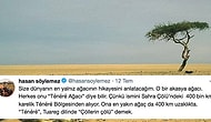 Çöllerin Çölü: Dünyanın En Yalnız Ağacı Olarak Bilinen Ténéré Ağacı'nın Hikayesi Size İnsanlığı Sorgulatacak