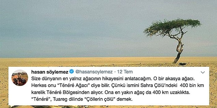 Çöllerin Çölü: Dünyanın En Yalnız Ağacı Olarak Bilinen Ténéré Ağacı'nın Hikayesi Size İnsanlığı Sorgulatacak