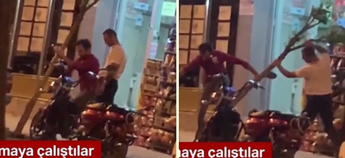 Kaldırımdaki Ağacı Kırmaya Çalışan Vandallar!