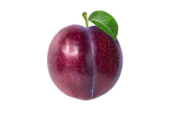 Показать правильный ответ