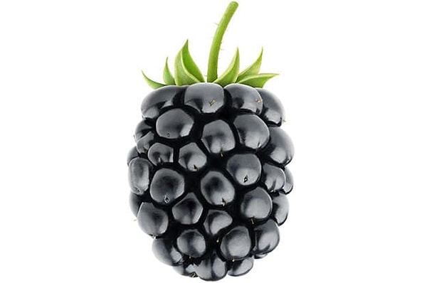 Показать правильный ответ