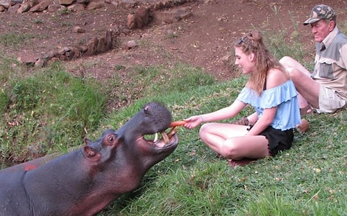 Hala daha düzenlenen turlarla Jessica'yı görmek mümkün. Tabii önce Güney Afrika'ya gitmelisiniz 😄