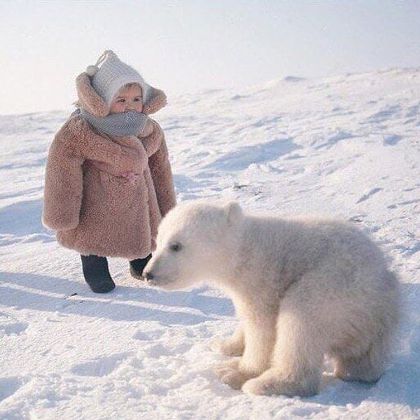16. Белый медведь и ребёнок на острове Врангеля, 1975 год.