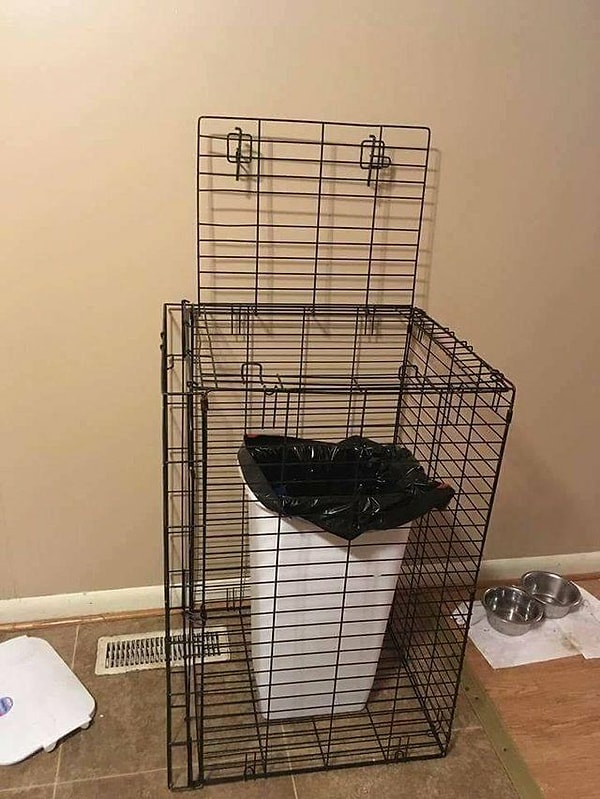 2. Собаки и кошки теперь точно не смогут покопаться в мусоре и разбросать его.