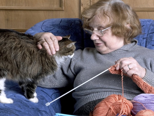 Вы будете "Дамой, у которой много кошек"!