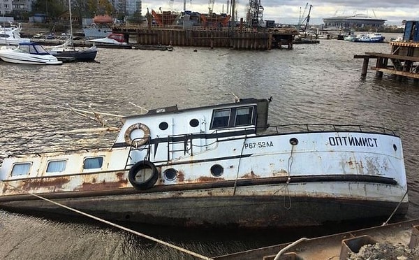 17. Как в воду глядели