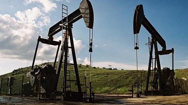 1951 - Türkiye'deki ilk petrol Raman dağı yöresinde bulundu.