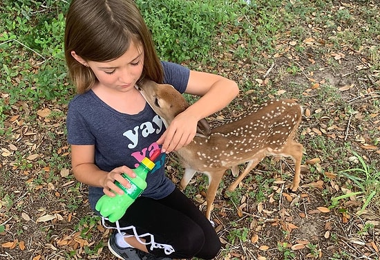 Hayvanlarla Konuşan ve Onlarla Vakit Geçiren Ufaklığın Görüntülerini İzlerken Gözlerinizden Kalpler Fışkıracak