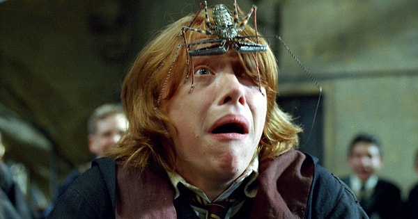 2. Что вас больше всего пугает?