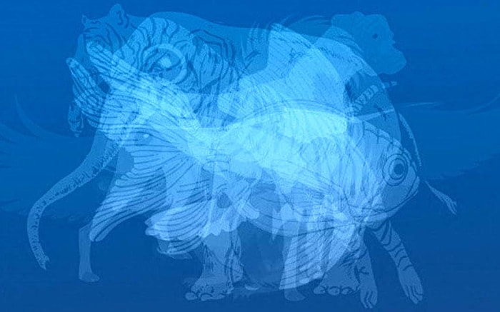 Тест: То, какое животное вы увидите первым, расскажет все о вашем характере