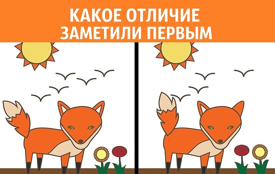 Тест: Какое отличие вы заметили первым, такой у вас и характер