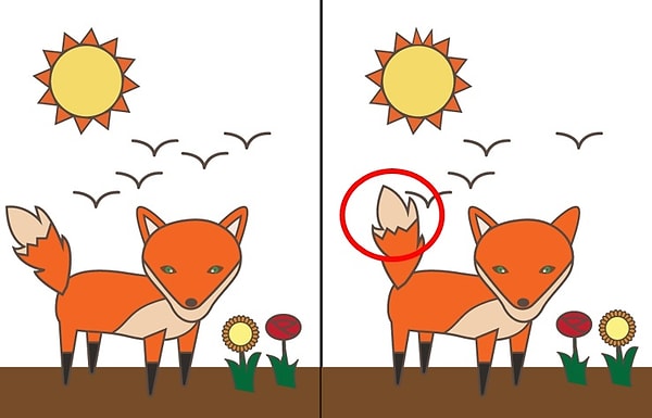 Хвост лисы: