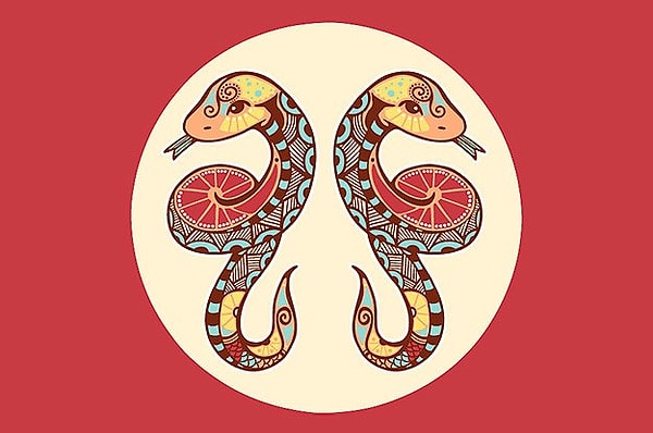 В следующей жизни вашим знаком зодиака будут Близнецы!