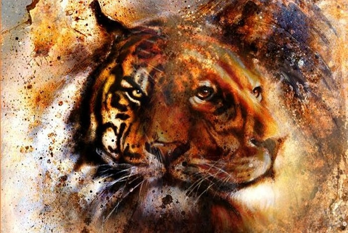 Психологический тест: Хищник, которого вы увидели первым, расскажет, к какому из двух типов личности относитесь вы