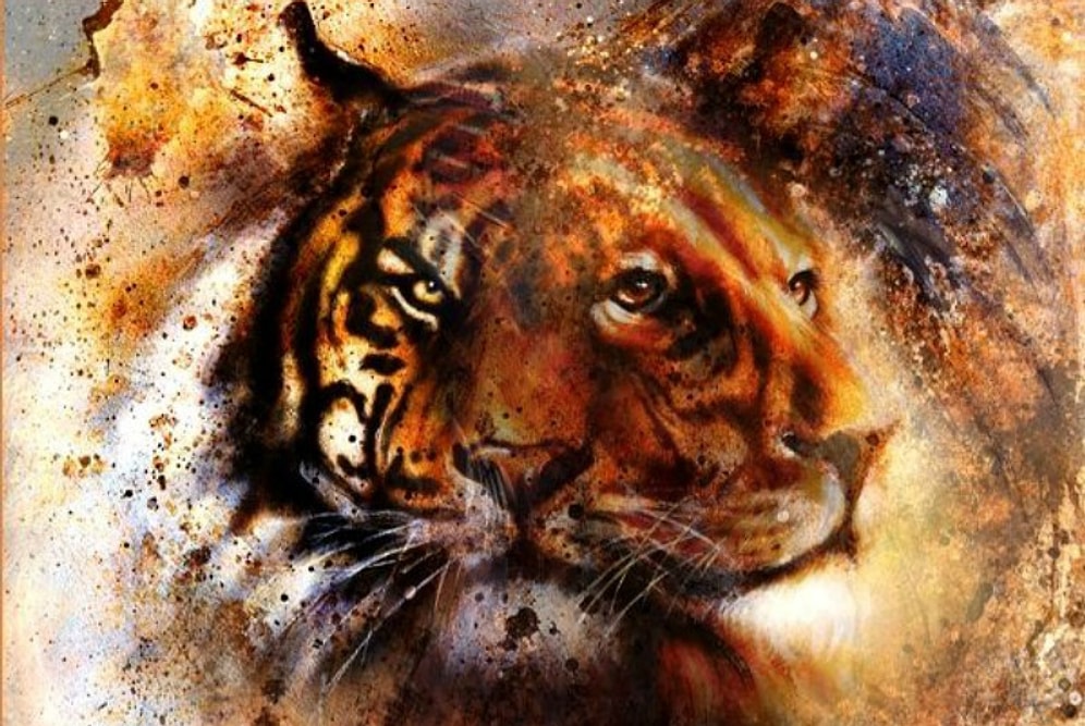 Психологический тест: Хищник, которого вы увидели первым, расскажет, к какому из двух типов личности относитесь вы