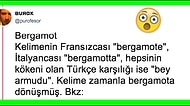 İngilizcede Yer Alan Türkçe Kökenli Kelimeleri Öğrenince Şaşkınlık Yaşayacağınızdan Eminiz