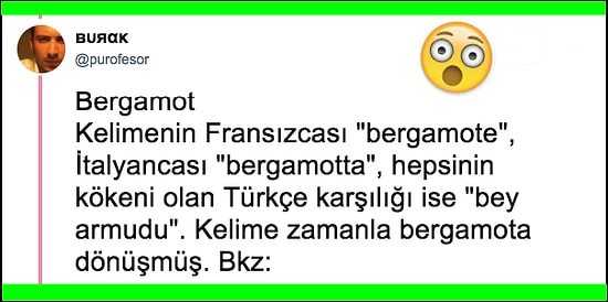 İngilizcede Yer Alan Türkçe Kökenli Kelimeleri Öğrenince Şaşkınlık Yaşayacağınızdan Eminiz