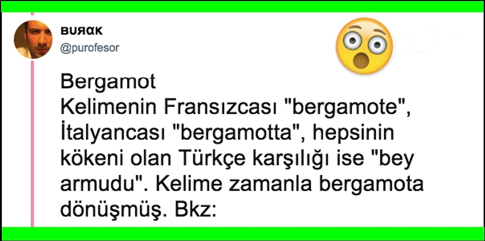 İngilizcede Yer Alan Türkçe Kökenli Kelimeleri Öğrenince Şaşkınlık Yaşayacağınızdan Eminiz