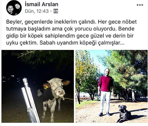 Belki de Hayatlarının En Garip Olaylarını Yaşayıp Şaşkınlıktan Küçük Dillerini Yutmaya Yaklaşmış 15 Kişi