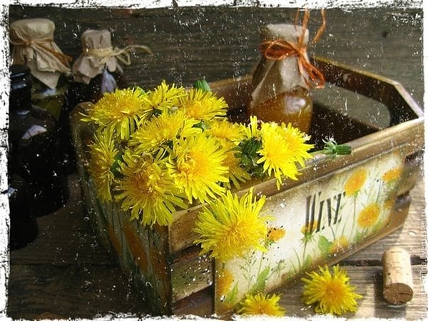 7. "Когда человеку семнадцать, он знает все. Если ему двадцать семь и он по-прежнему знает все - значит, ему все еще..." Рэй Брэдбери "Вино из одуванчиков"