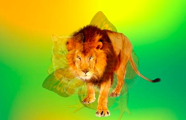 Вы увидели льва: