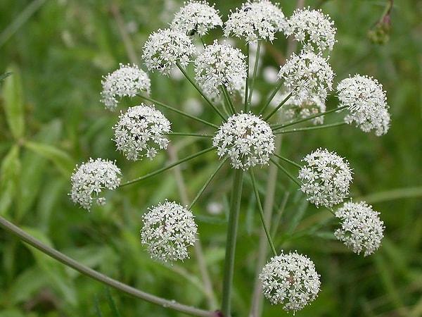 Неверный ответ!