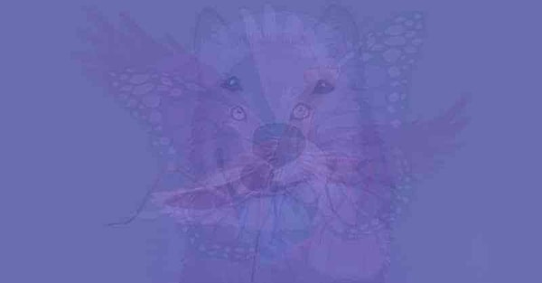 Итак, какое же животное бросилось вам в глаза первым?