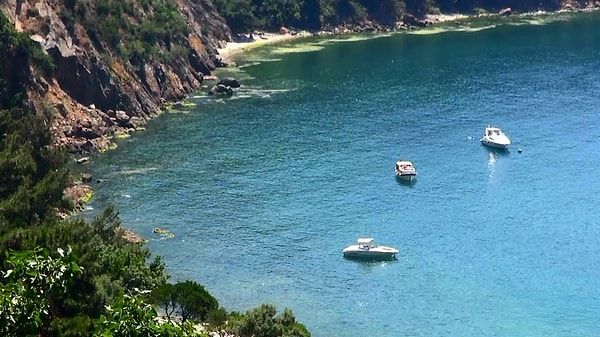 9. Самое маленькое море...