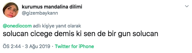 12. Hmm...